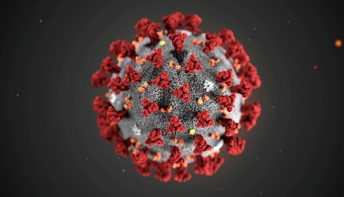 coronavirus-4