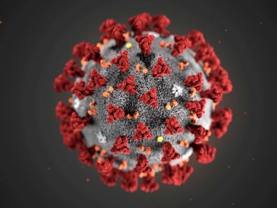 coronavirus-4